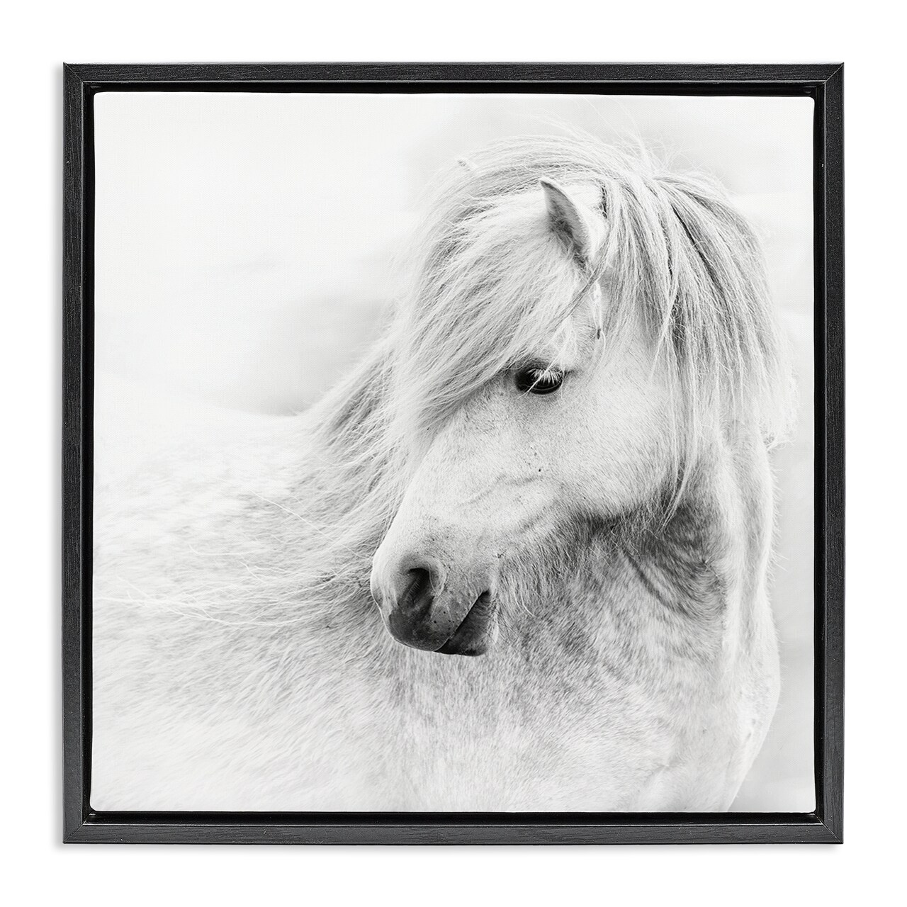 Stupell Industries Gazing White Toned Horse Floating Frame By PHBurchett